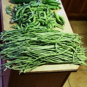 Meet your Posher, Danny